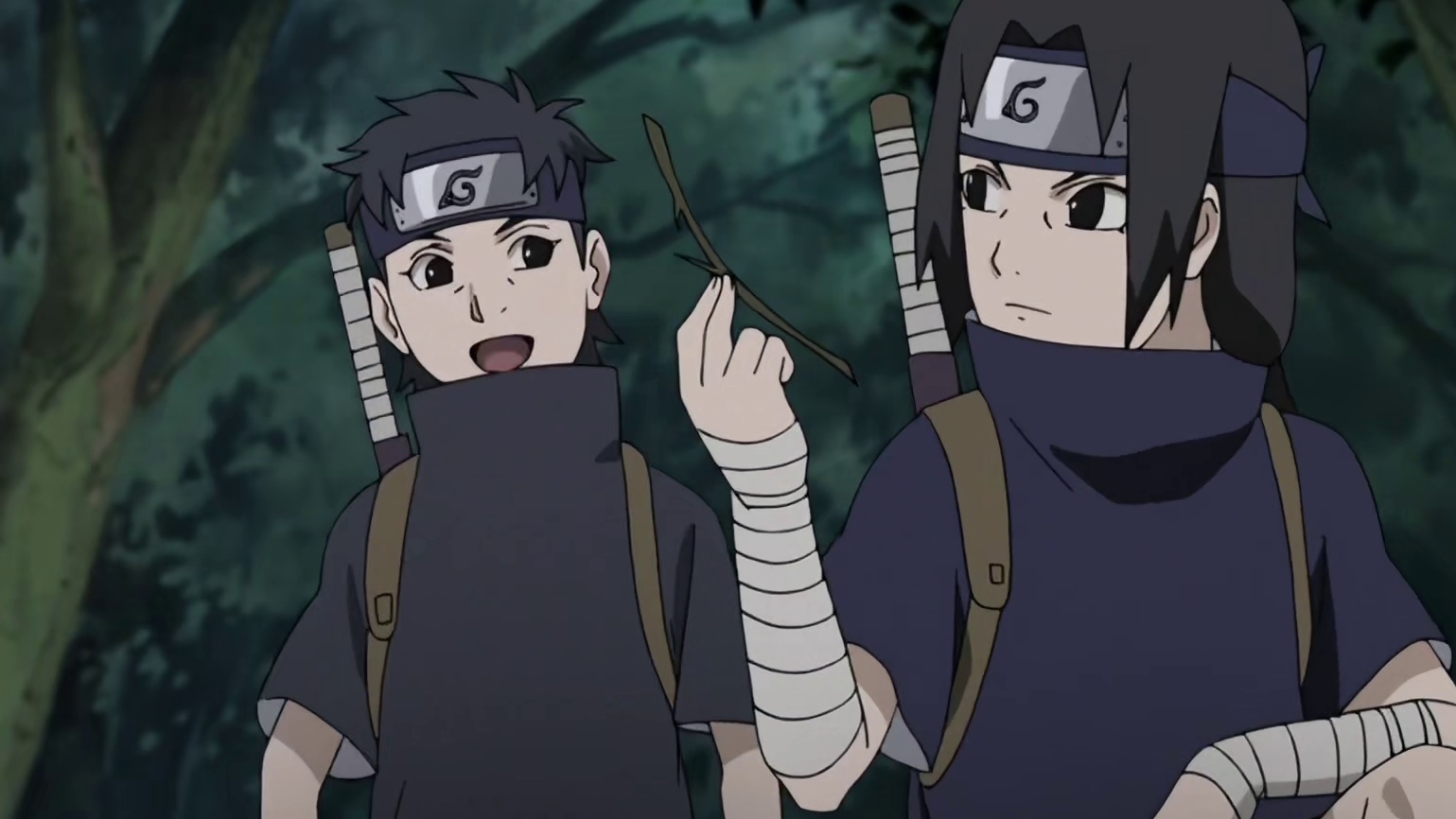 此视频将详尽揭秘鼬灭族实情