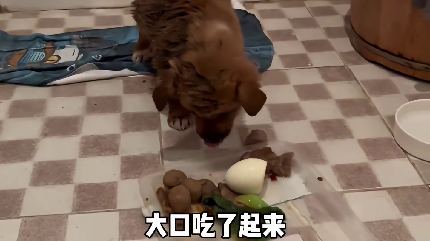 “你在我的生命中出现了一段时间，我会永远记得你的”