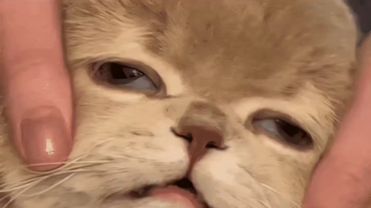 听说有人一边交朋友一边拆台？属实被这《鹅鸭杀》拿捏了！