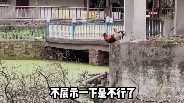 还是虚啊
