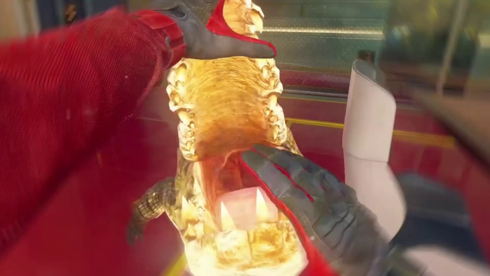 雄狮巡视领地这一块的