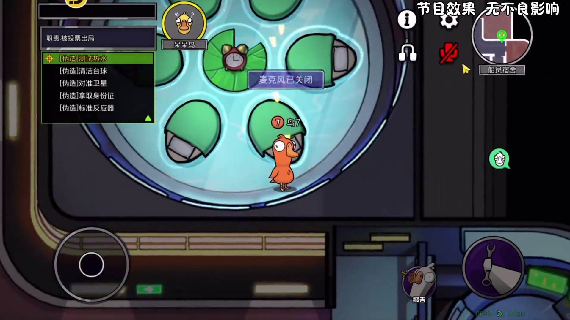 呆呆鸟百分百胜率玩法