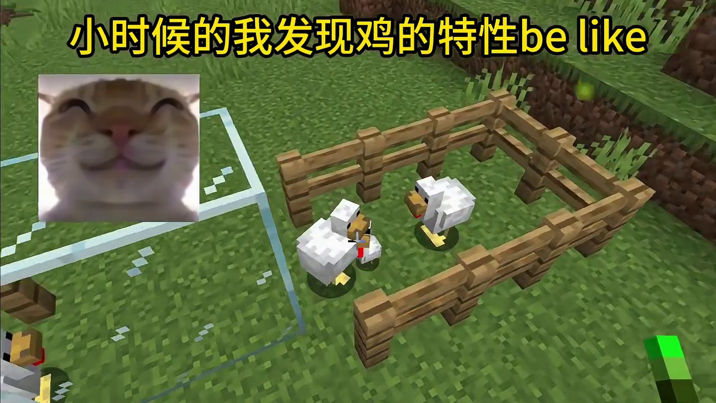 我的世界：小时候的我发现鸡的特性be like