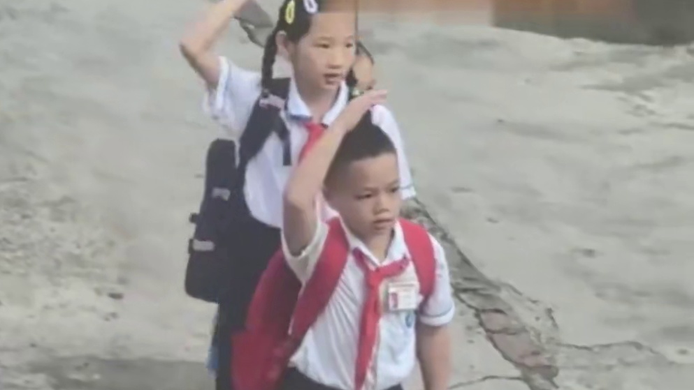 是我眼花了吗,刚才过去的不是校车吗_