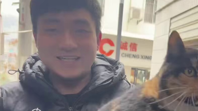 我有个猫货