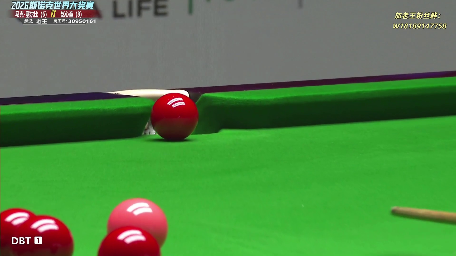 赵心童vs马克-塞尔比 大奖赛16进8-第6局