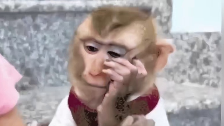 我都背上媳妇了，你告诉我去铜锣湾砍人