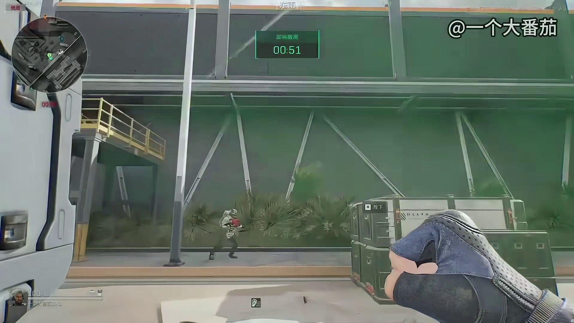 获胜的可以得到哈基蜂抚养权