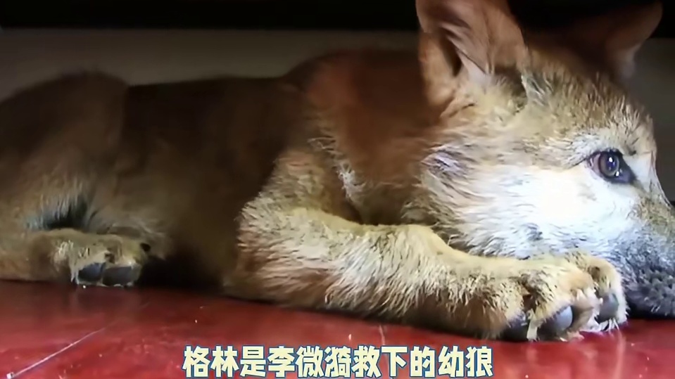 人类的爱恨都是灾难吗