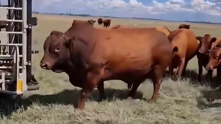 谁也遭不住啊！