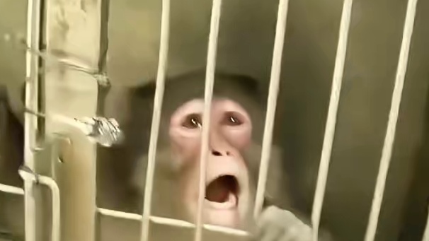 谢谢你 来到我身边