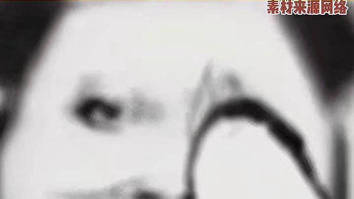 猫：这小王八汤还挺鲜儿。