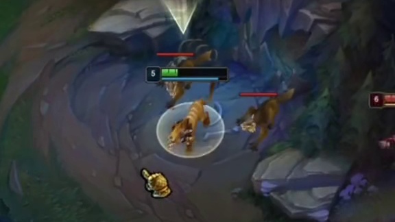 双眼失明不影响我追逐猎物