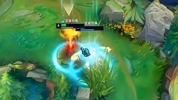 狮子狗：我看看怎么个事