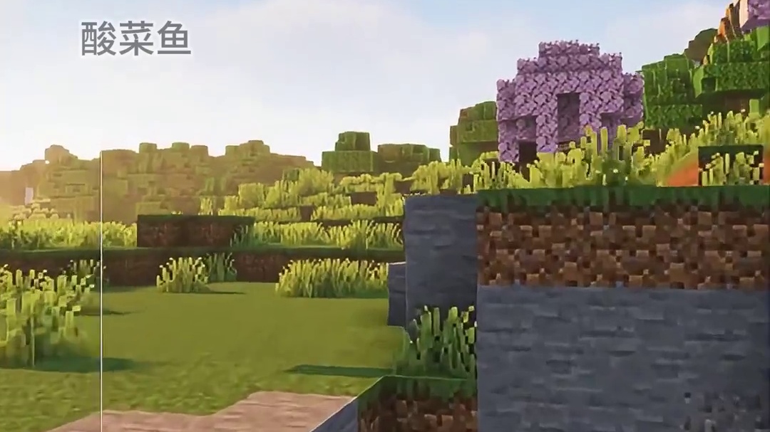 怎...怎么会有三个白眼？？？