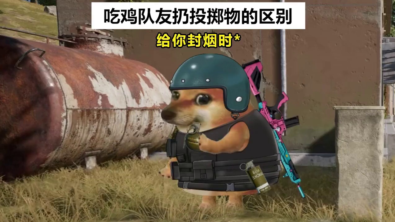 吃鸡队友扔投掷物的区别