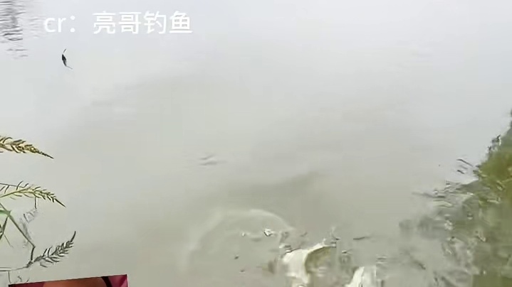 我一般不会钓这么多鱼，可能和我的家教有关吧