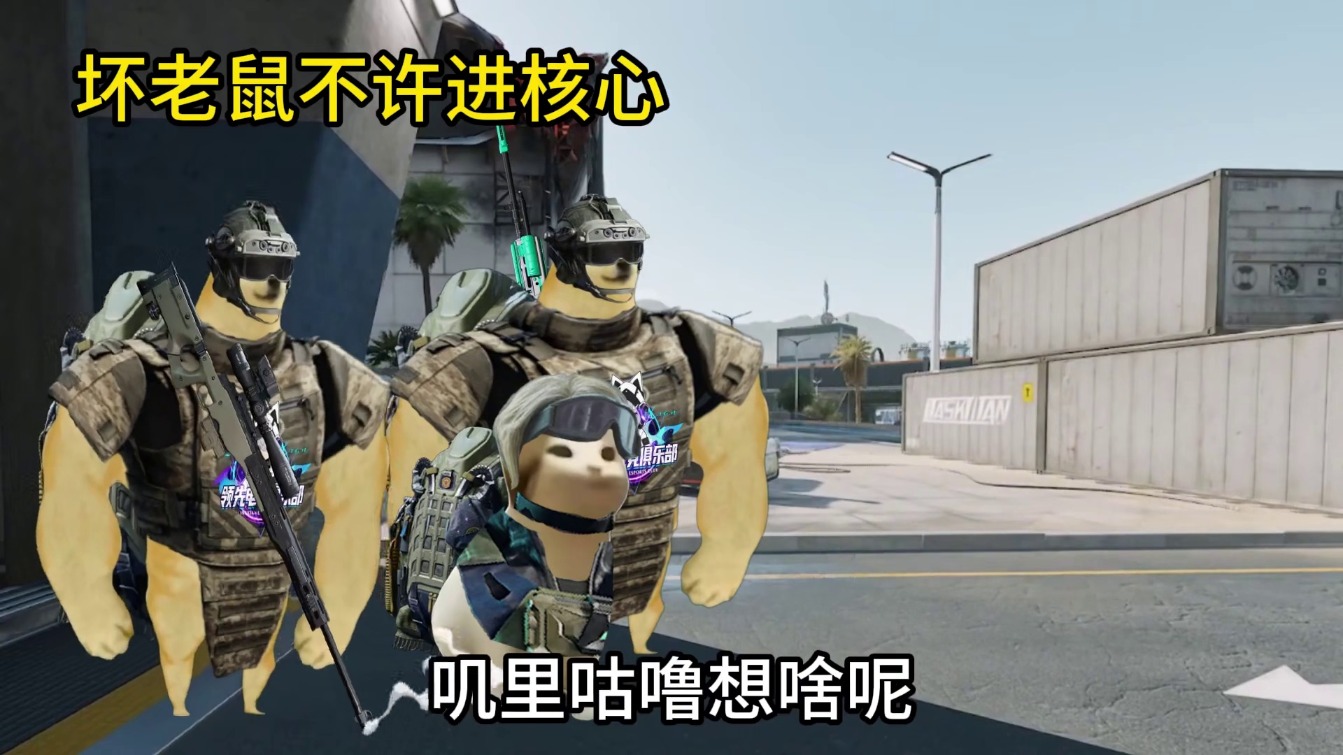 坏老鼠不许进核心！