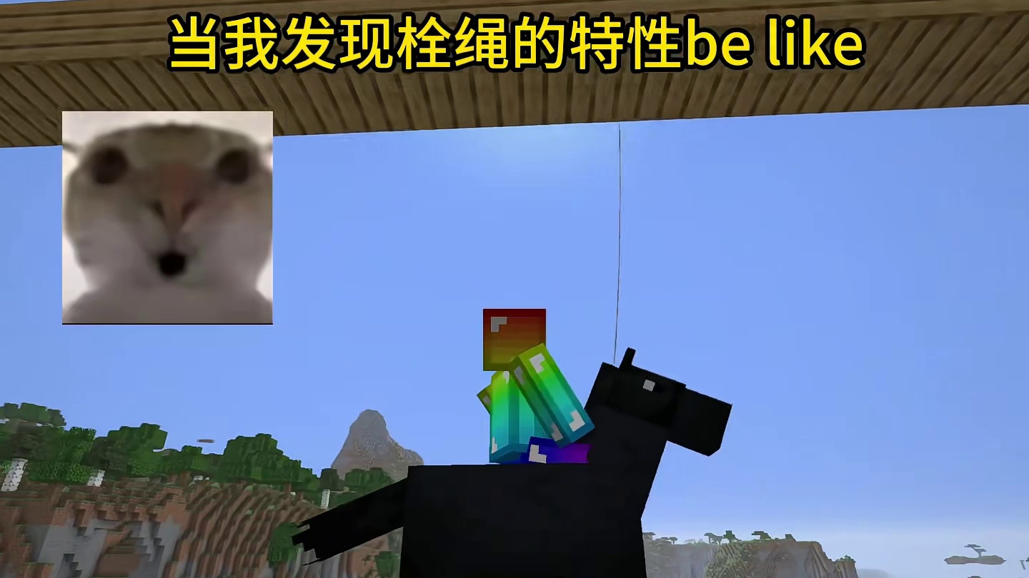 我的世界：当我发现栓绳的特性be like