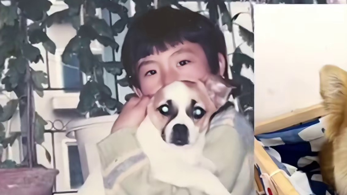 原来离开世界的宠物真的能再次回到主人身边！