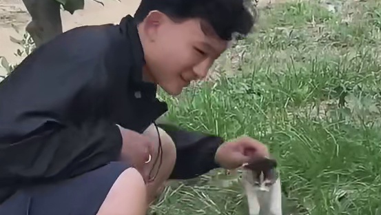 猫妈妈：我说我不养了吗