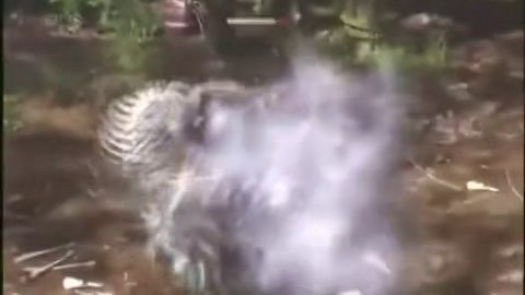 黑神话悟空 - 高光操作集锦 #32