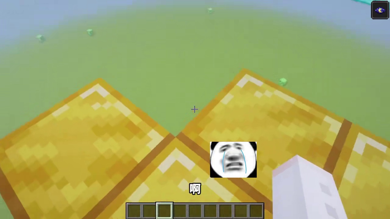 MC猜猜我的头上是什么生物呢？！我的世界