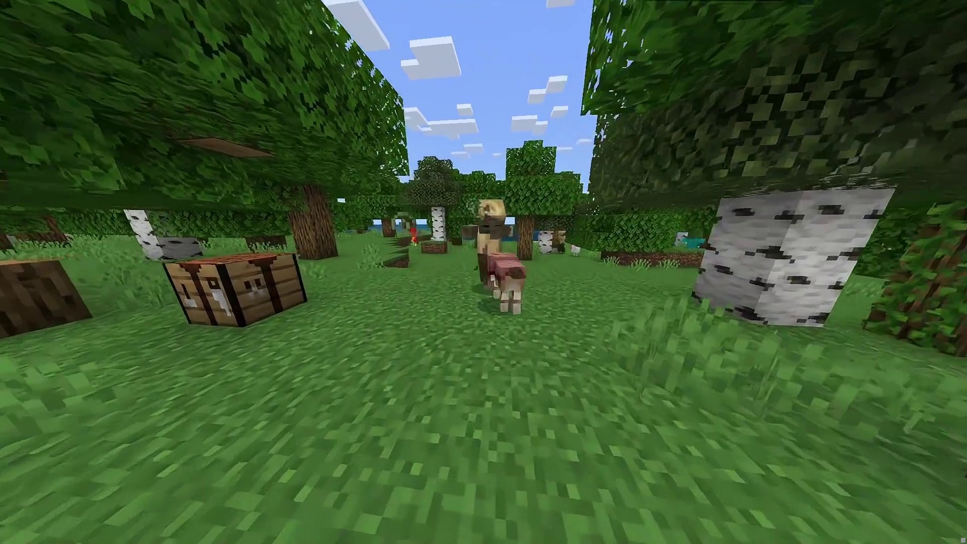 我的世界动物冷知识！犰狳居然这么实用！