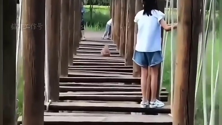 .汪汪队的倒霉瞬间