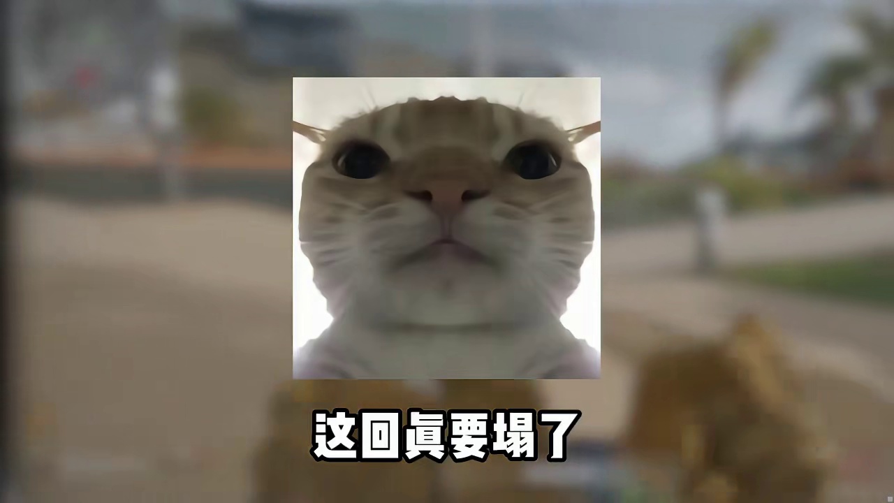 跑刀鼠鼠的天又塌了