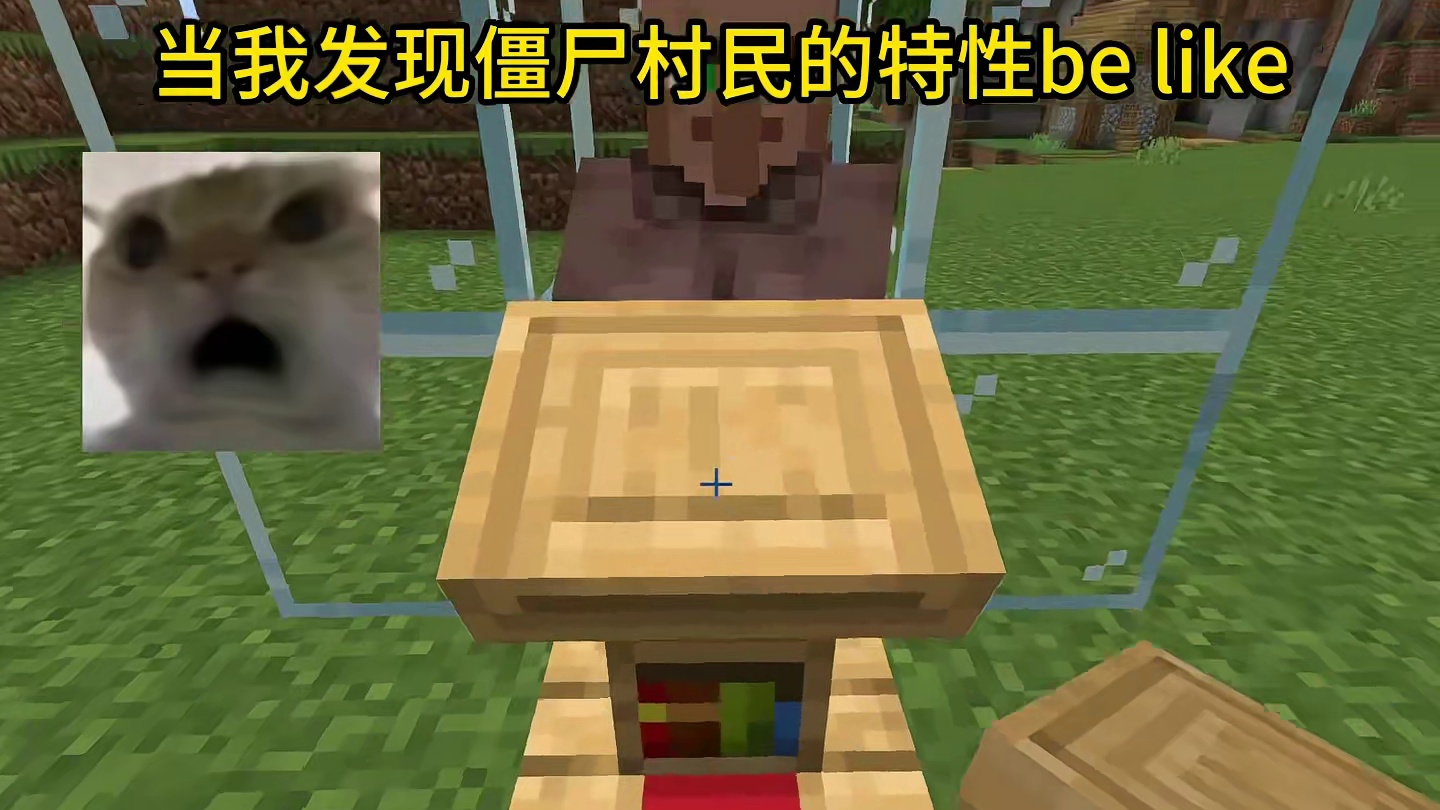 我的世界：当我发现僵尸村民的特性be like