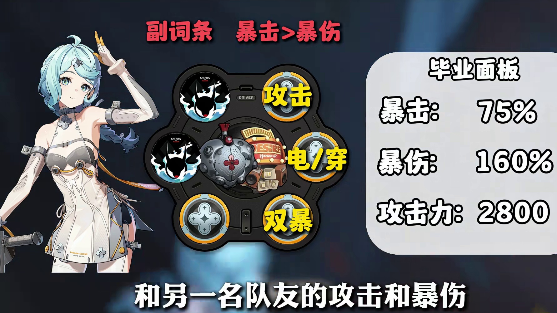 【绝区零第二季】所有主C角色的毕业面板，包括配装/配队和加点养成！看完包你秒变传奇绳匠！！！