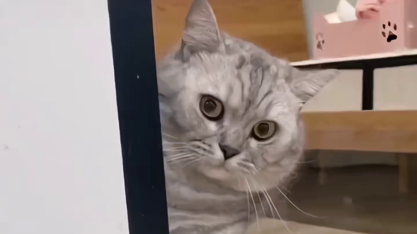 你们还记得这张感动无数网友的照片吗？