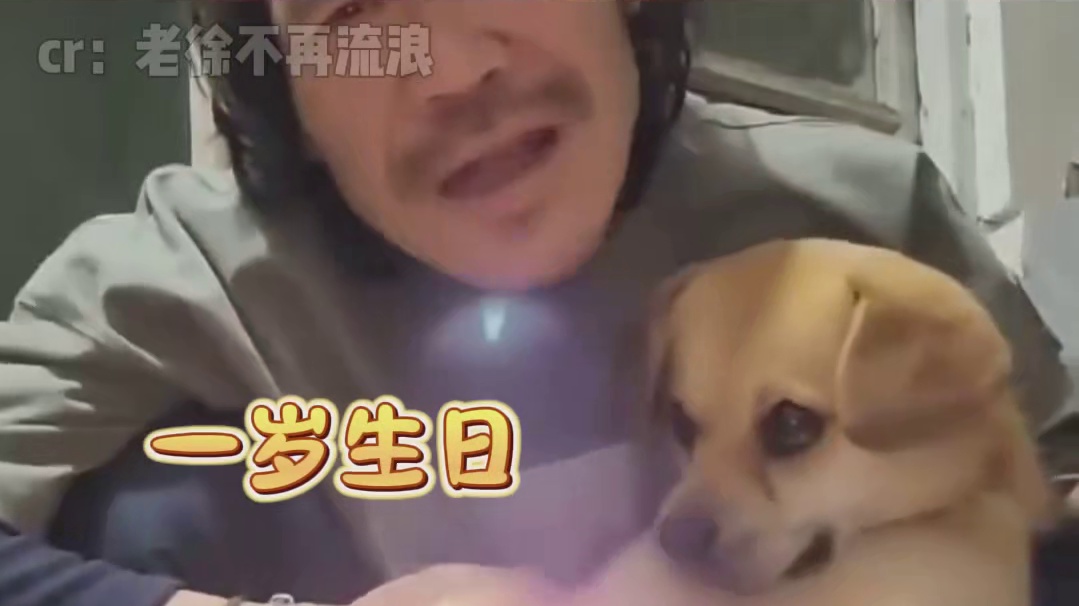我是流浪汉，我的小狗可不是