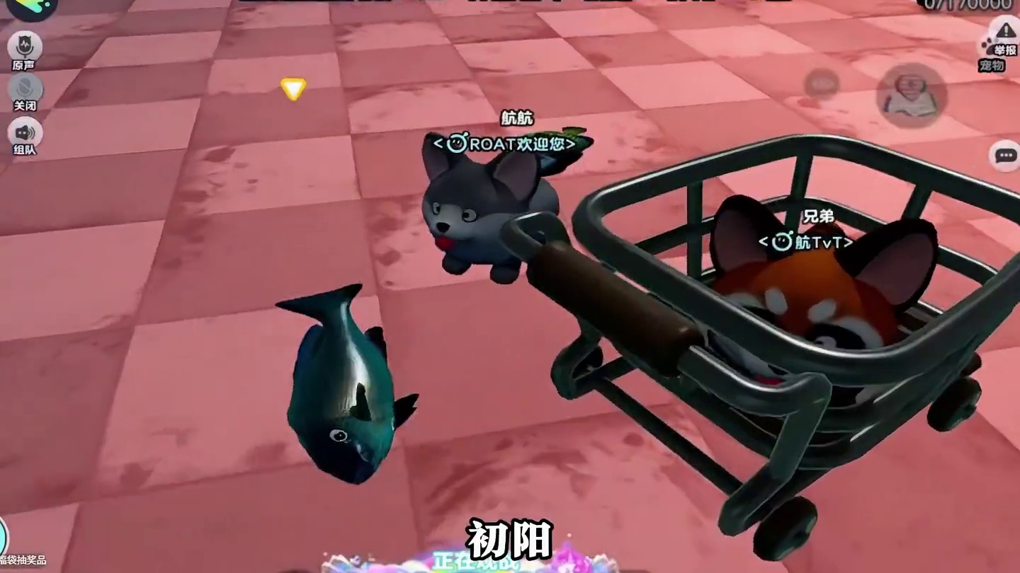 哈哈 蛋仔惊魂寻宝队