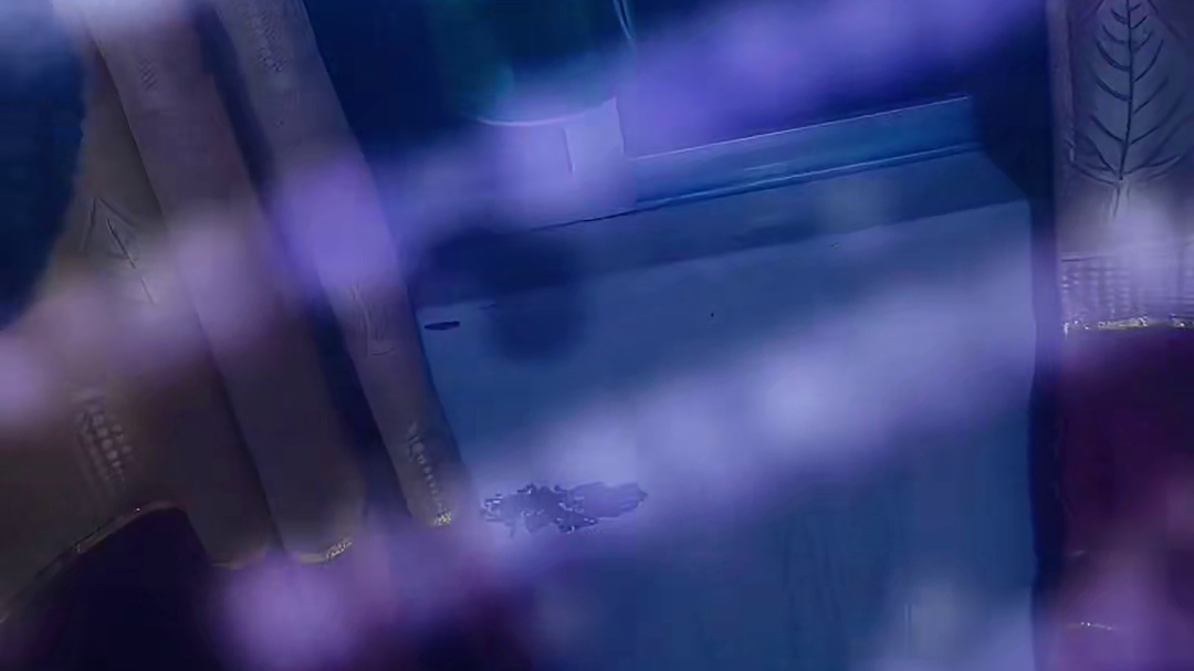 是我眼前起了雾，不怪当初走错路.