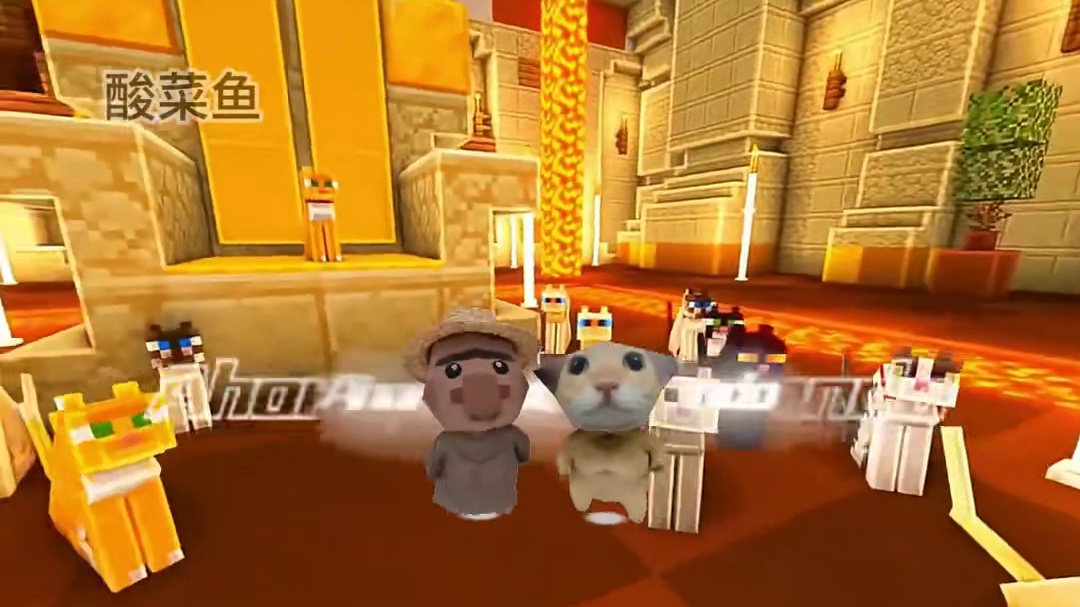 挖你的鼻孔~喵喵~