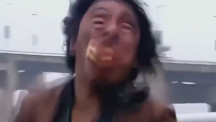 猫猫护卫队分工明确，纪律严明