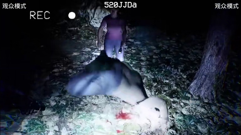 我对恐怖游戏都麻木了！心里一点感觉都没有！