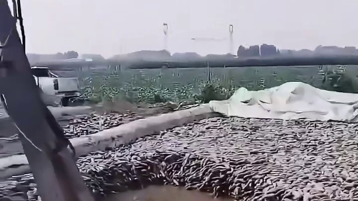 这玩意还能吃吗