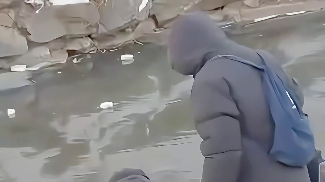 心善大爷救助冻在冰面上的天鹅宝宝，获救后天鹅夫妻不停曲颈致谢