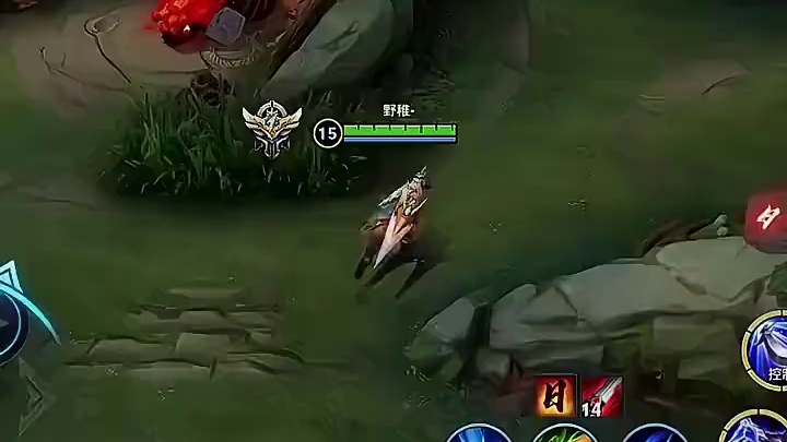 明明红蓝BUFF都已到手