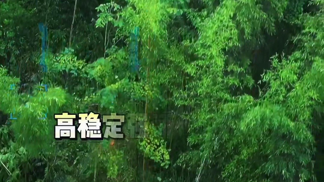 有吊运需求，就找大成航空吊运