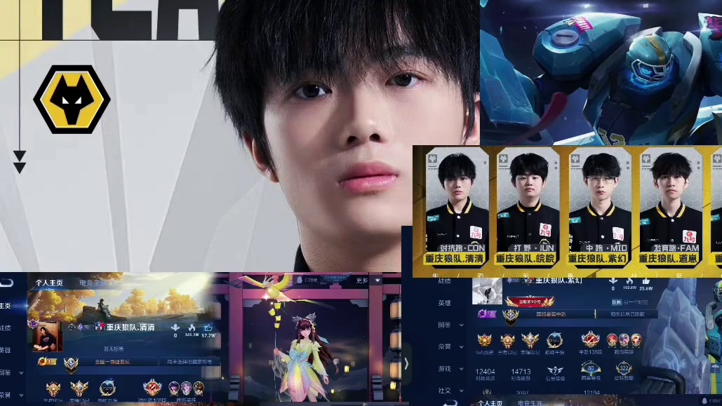 这是狼队队员自己都钦定的第五款FMVP皮肤，除了清清主页都是盾山哈哈哈，太搞了32强默认专属皮肤