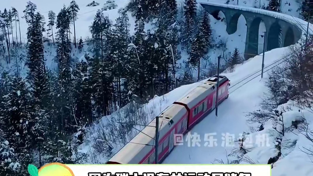 队友夯爆了 论跟对团队的后果