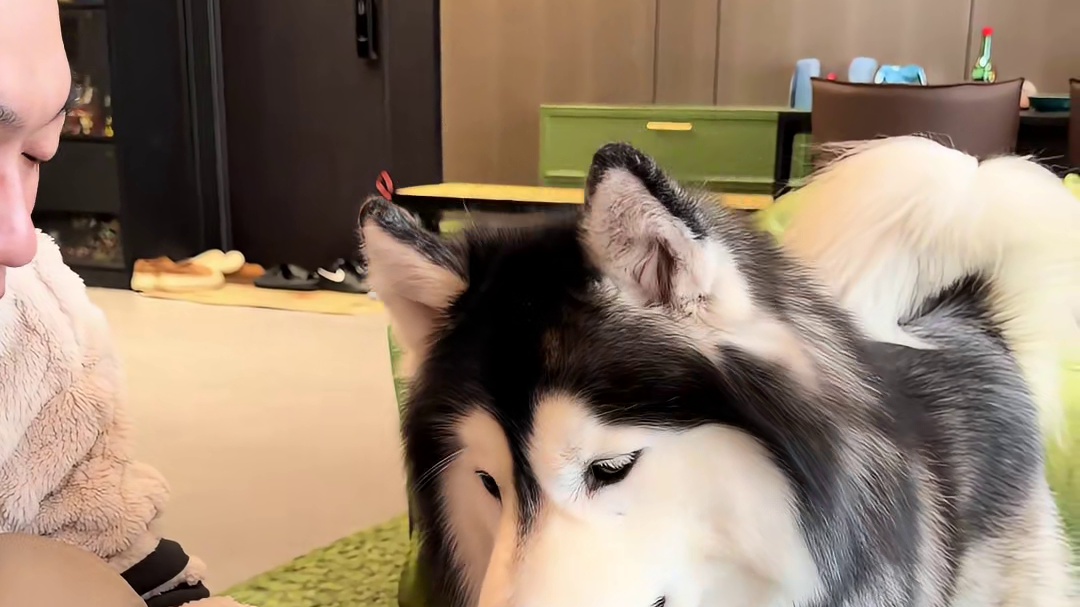 爹说话是圣旨妈说话是放屁