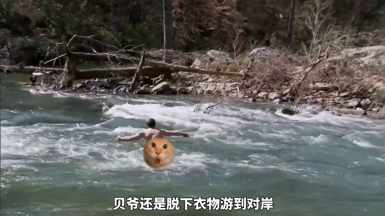 贝爷阿拉巴马州荒野求生，逮到头几十斤野猪，吃上香喷喷的烤猪腿