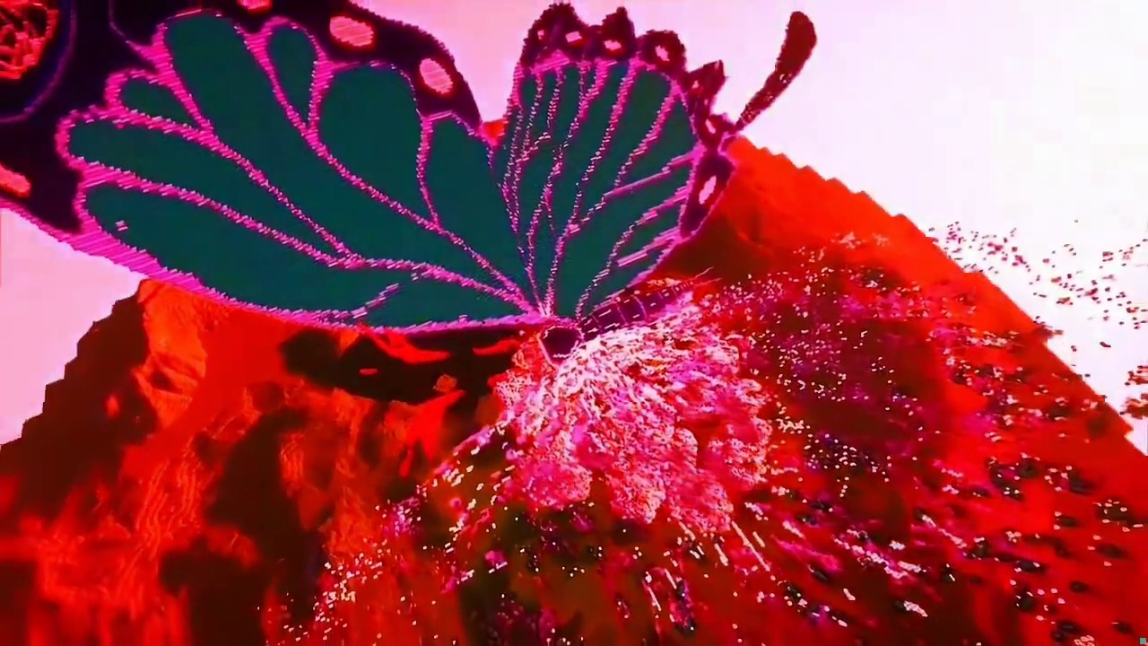 羽化成蝶，破而后生