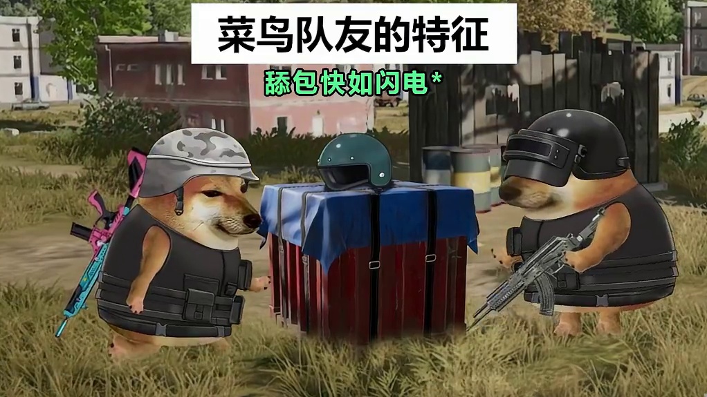 菜鸟队友的特征