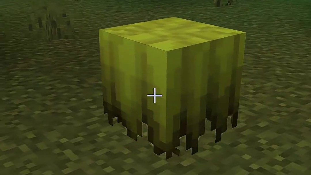 遇到这种植物 那你就撞大运了 模组：农夫乐事【七合一版】